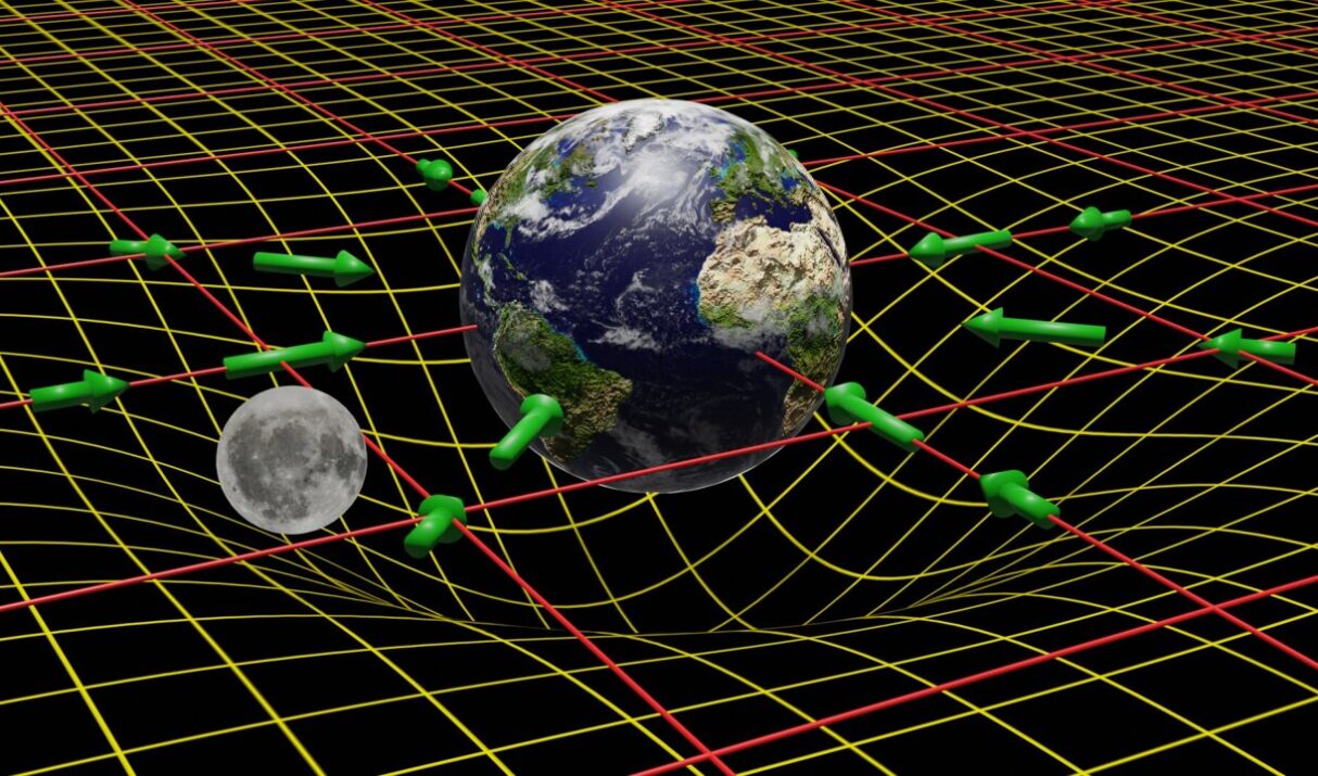 The Role of Gravity in Shaping the Cosmos